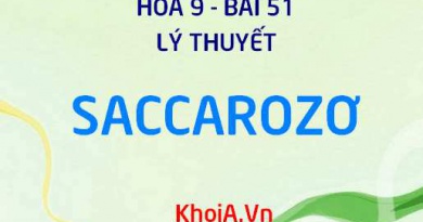 Saccarozơ tính chất vật lý, tính chất hóa học và ứng dụng của Saccarozơ - Lý thuyết Hóa 9 bài 51